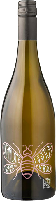 Charlotte Dalton Wines Project 5255 Langhorne Creek Fiano